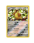 Pidgeot