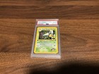 Koga's Beedrill
