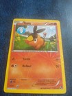 Tepig