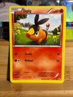 Tepig