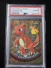 Charmeleon