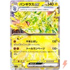 Tyranitar ex
