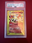 Rapidash