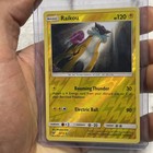 Raikou