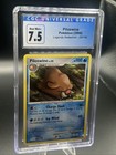 Piloswine