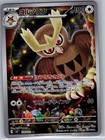 Noctowl
