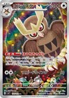 Noctowl