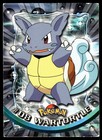 Wartortle