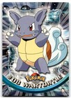 Wartortle