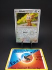 Lillipup