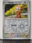 Lillipup