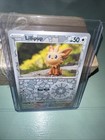 Lillipup