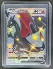 Charizard V