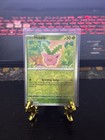 Hoppip
