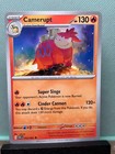 Camerupt