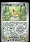 Pidgey