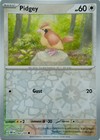 Pidgey