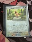Pidgey