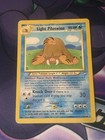 Light Piloswine