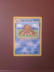Light Piloswine