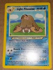 Light Piloswine