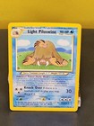 Light Piloswine