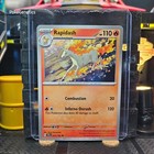 Rapidash