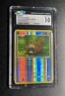 Bidoof