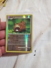 Bidoof