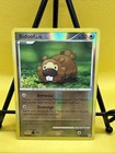 Bidoof