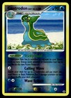 Gastrodon East Sea