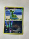 Gastrodon East Sea