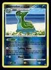 Gastrodon East Sea