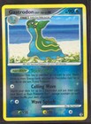 Gastrodon East Sea