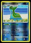 Gastrodon East Sea