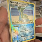 Gastrodon East Sea