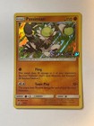 Passimian
