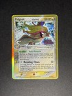 Pidgeot