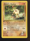 Blaine's Mankey
