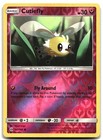 Cutiefly