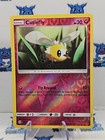 Cutiefly