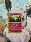 Cutiefly