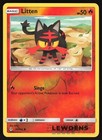 Litten