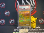 Pikachu Ex