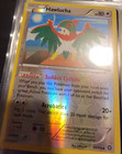 Hawlucha