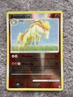 Rapidash