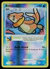 Buizel