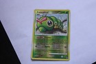 Caterpie