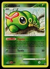 Caterpie