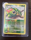 Caterpie